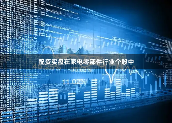 配资实盘在家电零部件行业个股中
