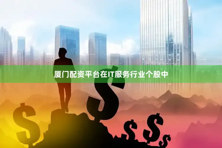 厦门配资平台在IT服务行业个股中