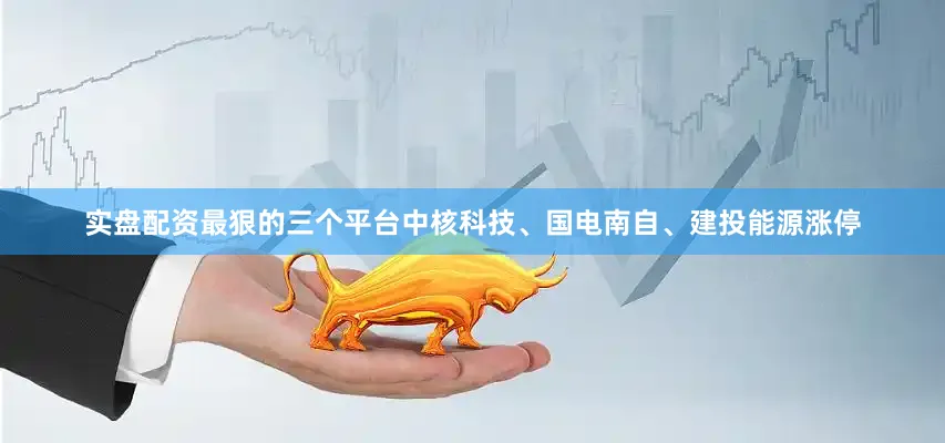 实盘配资最狠的三个平台中核科技、国电南自、建投能源涨停