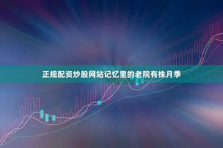 正规配资炒股网站记忆里的老院有株月季