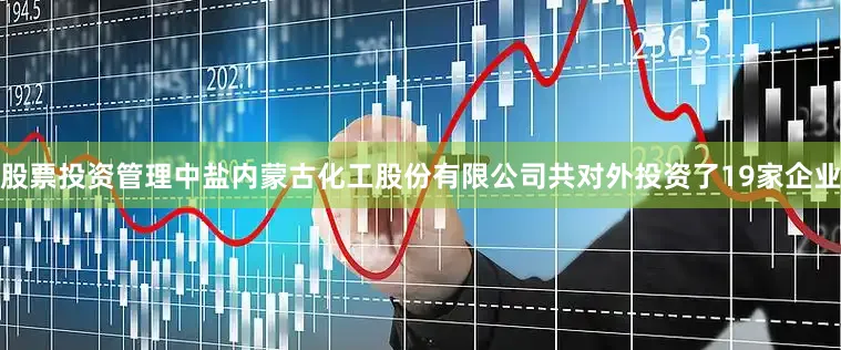 股票投资管理中盐内蒙古化工股份有限公司共对外投资了19家企业
